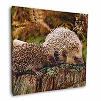 Mother and Baby Hedgehog Square Canvas 12"x12" Wall Art Picture Print