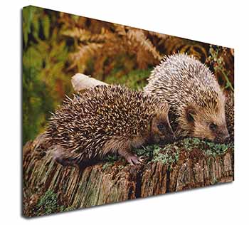 Mother and Baby Hedgehog Canvas X-Large 30"x20" Wall Art Print