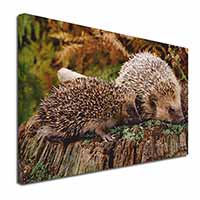 Mother and Baby Hedgehog Canvas X-Large 30"x20" Wall Art Print