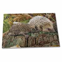 Large Glass Cutting Chopping Board Mother and Baby Hedgehog