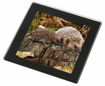 Mother and Baby Hedgehog Black Rim High Quality Glass Coaster