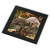 Mother and Baby Hedgehog Black Rim High Quality Glass Coaster