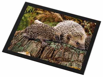 Mother and Baby Hedgehog Black Rim High Quality Glass Placemat