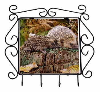 Mother and Baby Hedgehog Wrought Iron Key Holder Hooks