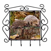 Mother and Baby Hedgehog Wrought Iron Key Holder Hooks