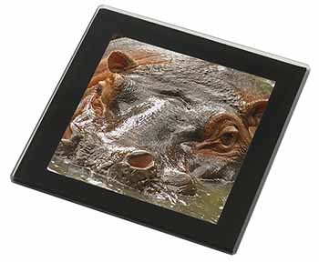 Hippopotamus, Hippo Black Rim High Quality Glass Coaster