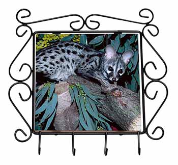 Wild Genet Cat Wildlife Print Wrought Iron Key Holder Hooks Christmas Gift