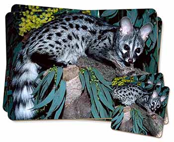 Wild Genet Cat Wildlife Print Twin 2x Placemats+2x Coasters Set in Gift Box