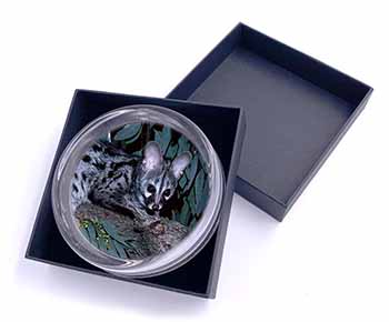 Wild Genet Cat Wildlife Print Glass Paperweight in Gift Box Christmas Present