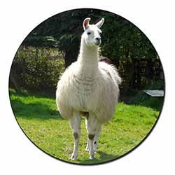 Llama Fridge Magnet Printed Full Colour