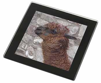 South American Llama Black Rim High Quality Glass Coaster