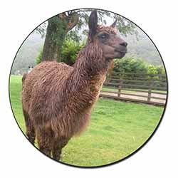 Llama Fridge Magnet Printed Full Colour