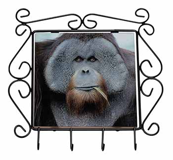 Handsome Orangutan Wrought Iron Key Holder Hooks