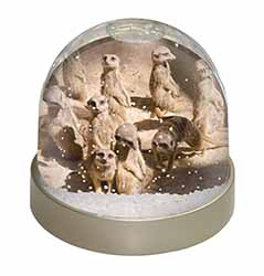 Meerkats Snow Globe Photo Waterball