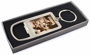 Meerkats Chrome Metal Bottle Opener Keyring in Box