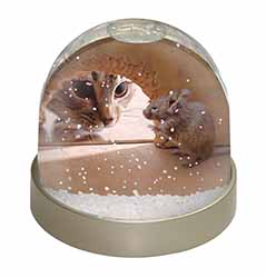 Cat and Mouse Snow Globe Photo Waterball