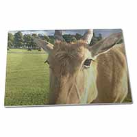 Pretty Antelope Extra Large Toughened Glass Cutting, Chopping Board