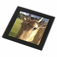 Pretty Antelope Black Rim Glass Coaster Animal Breed Gift