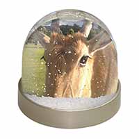 Pretty Antelope Photo Snow Globe Waterball Stocking Filler Gift