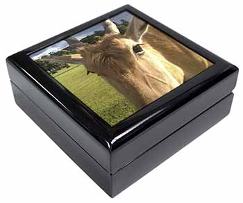 Pretty Antelope Keepsake/Jewellery Box Christmas Gift