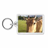 Pretty Antelope Photo Keyring Animal Gift