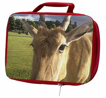 Pretty Antelope Insulated Red School Lunch Box/Picnic Bag