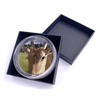 Pretty Antelope Glass Paperweight in Gift Box Christmas Present