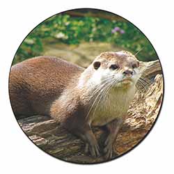 River Otter Fridge Magnet Printed Full Colour