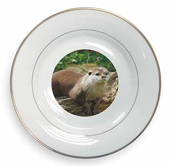 River Otter Gold Rim Plate Printed Full Colour in Gift Box