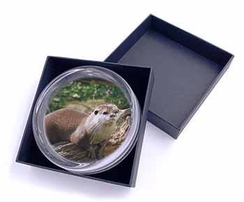 River Otter Glass Paperweight in Gift Box