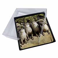 4x Cute Otters Picture Table Coasters Set in Gift Box