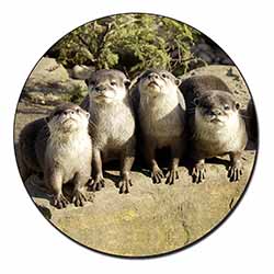 Cute Otters Fridge Magnet Printed Full Colour