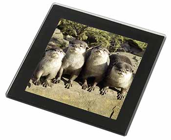 Cute Otters Black Rim High Quality Glass Coaster