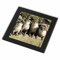 Cute Otters Black Rim High Quality Glass Coaster