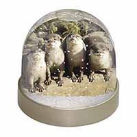 Cute Otters Snow Globe Photo Waterball