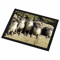 Cute Otters Black Rim High Quality Glass Placemat