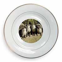 Cute Otters Gold Rim Plate Printed Full Colour in Gift Box