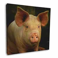 Pigs in Sty Square Canvas 12"x12" Wall Art Picture Print