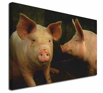 Pigs in Sty Canvas X-Large 30"x20" Wall Art Print