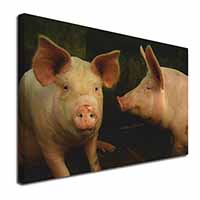 Pigs in Sty Canvas X-Large 30"x20" Wall Art Print