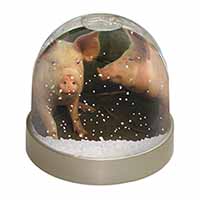 Pigs in Sty Snow Globe Photo Waterball