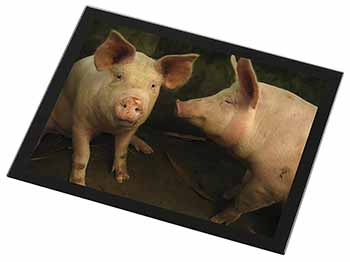 Pigs in Sty Black Rim High Quality Glass Placemat