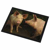 Pigs in Sty Black Rim High Quality Glass Placemat