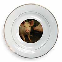 Pigs in Sty Gold Rim Plate Printed Full Colour in Gift Box