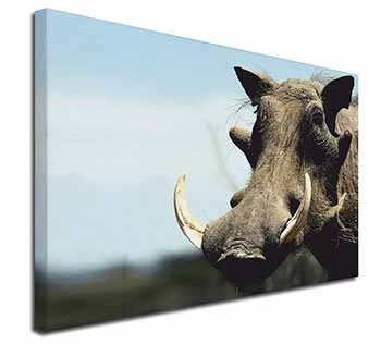 Wart Hog-African Pig Canvas X-Large 30"x20" Wall Art Print