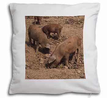 New Baby Pigs Soft White Velvet Feel Scatter Cushion