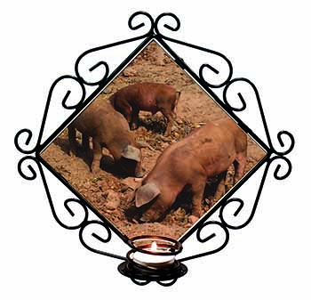 New Baby Pigs Wrought Iron Wall Art Candle Holder