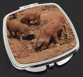 New Baby Pigs Make-Up Compact Mirror