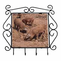 New Baby Pigs Wrought Iron Key Holder Hooks