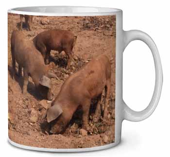 New Baby Pigs Ceramic Coffee Mug/Tea Cup